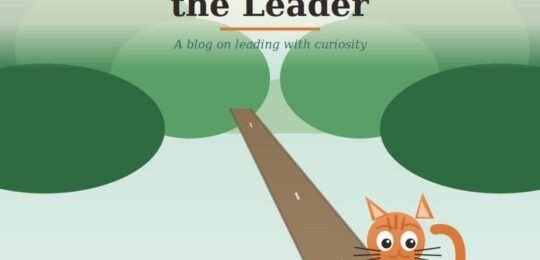 curiosity killed the cat